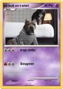 pit-bull en