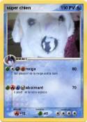 super chien