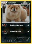 chow chow