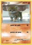 chaton ex