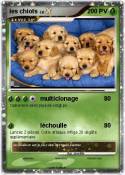 les chiots