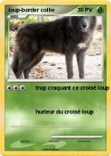 loup-border