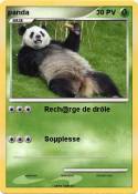panda