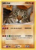 pitit chat