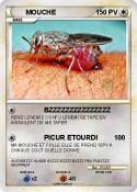 MOUCHE