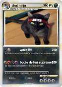 chat ninja