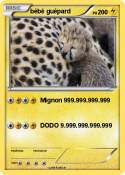 bébé guépard
