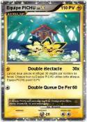 Equipe PICHU
