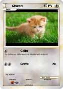 Chaton