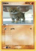 chaton