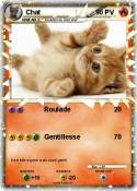 Chat