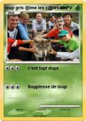 loup gris @ime les c@resses loup gris @ime