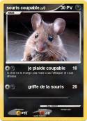 souris coupable