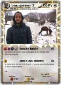 beau gossse n2