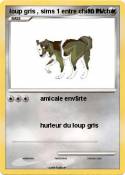loup gris , sims 1 entre chien et loup gris ,