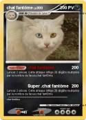 chat fantôme