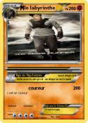 le labyrinthe
