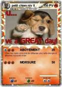 petit chien niv