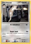 Chat Pistolet