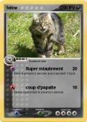 feline