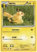 lapichu lapichu