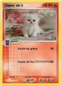 chaton niv X