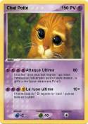 Chat Potté