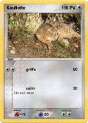 Souflette