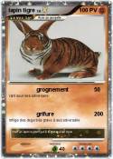 lapin tigre