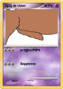 Z§Z§ de chien Z§Z§ de chien