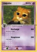 chatpotter