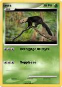 tayra