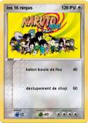 les 16 ninjas