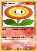 Fleur de feu Fleur de feu