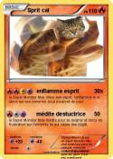 Sprit cat Sprit cat