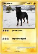 beauceron