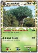 arbre de Rafiki