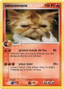 métazomorphé