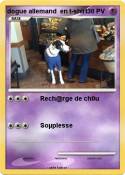 dogue allemand