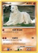 chien chien