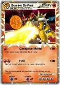 Bowser De Feu