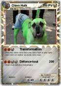 Chien Hulk