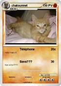 chatounnet chatounnet