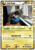 chat flinge