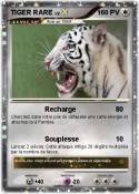 TIGER RARE