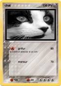 chat