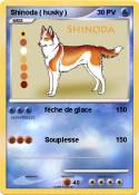 Shinoda ( husky
