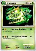 dragon AM