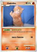 Chatonfeu