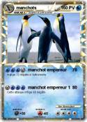 manchots